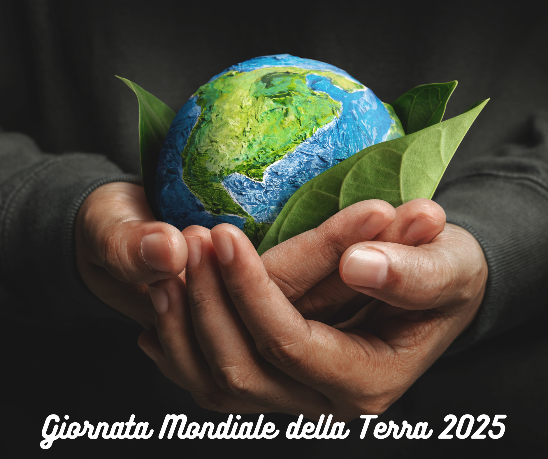 Immagine principale news